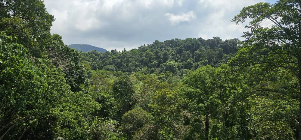 Batu Ferringhi Hilltop Bungalow For Sale | 7600sqft | 4+1R6B | RM924.82/sqft