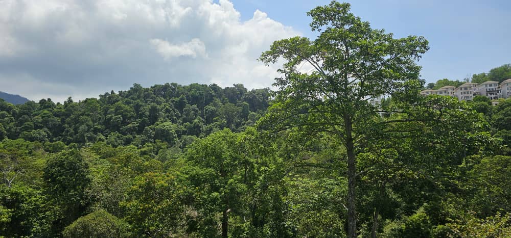 Batu Ferringhi Hilltop Bungalow For Sale | 7600sqft | 4+1R6B | RM924.82/sqft