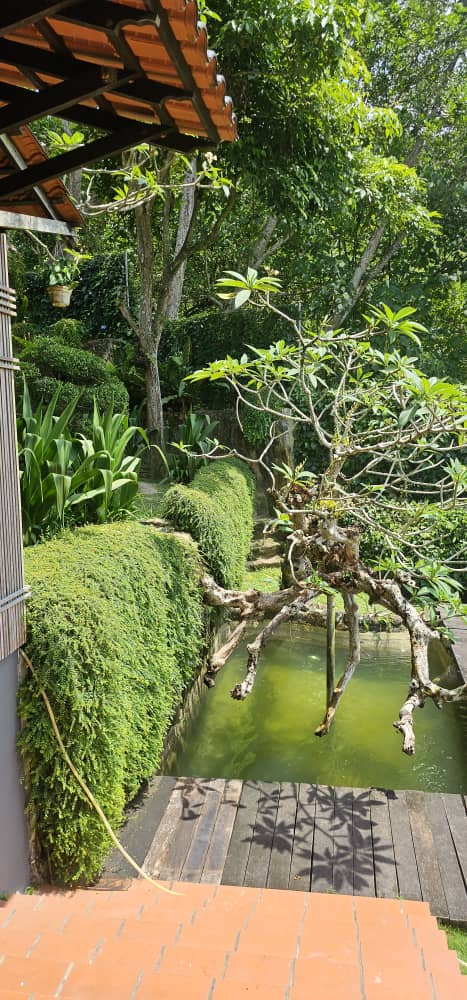Batu Ferringhi Hilltop Bungalow For Sale | 7600sqft | 4+1R6B | RM924.82/sqft