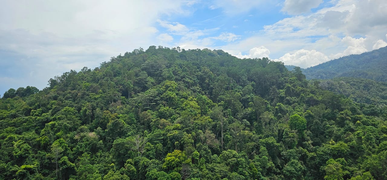 Alila2 Condominium For Rent