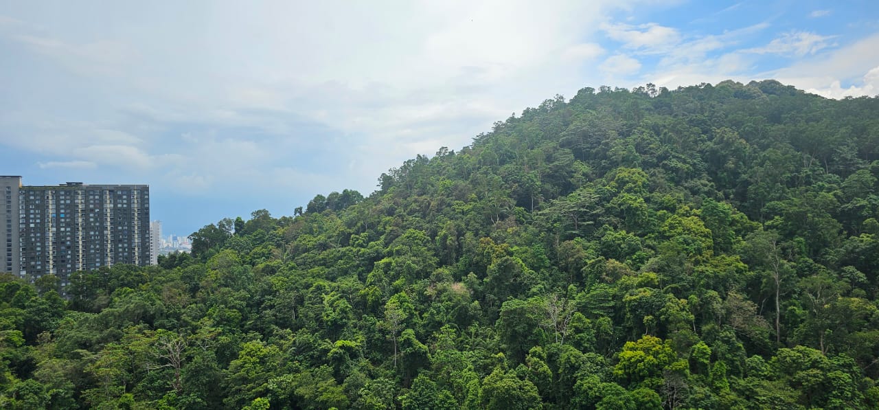 Alila2 Condominium For Rent