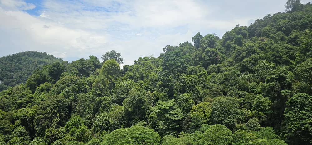 Alila2 Condominium For Rent