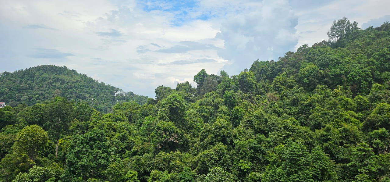 Alila2 Condominium For Rent