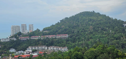 Alila2 Condominium For Rent