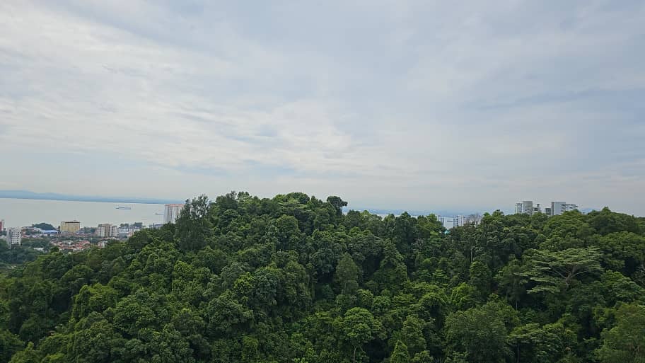 Alila2 Condominium For Sale
