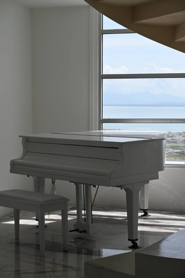 Millennium Tower Condominium For Rent