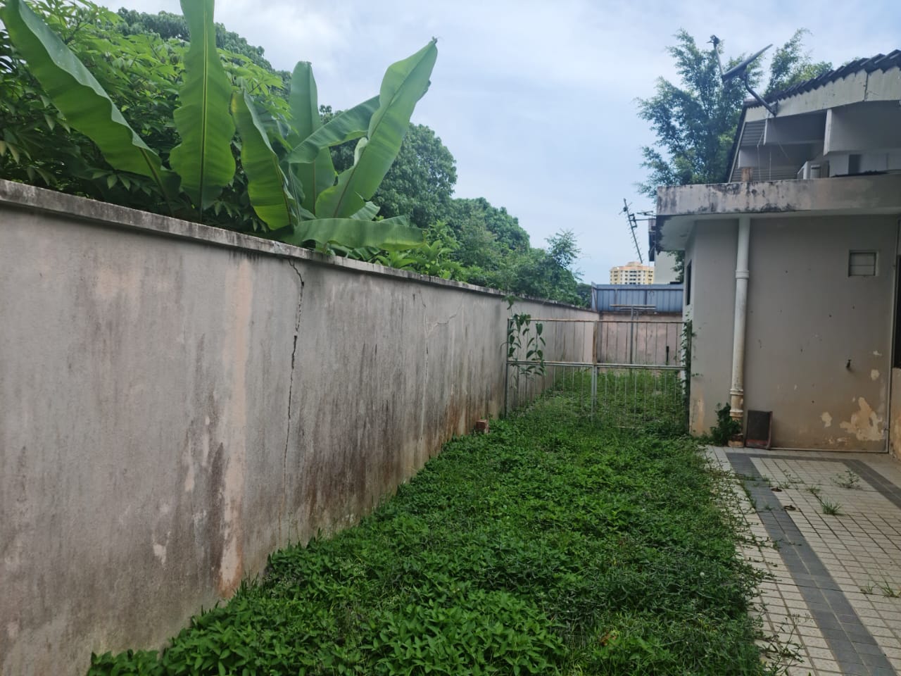 Tanjung Bungah Bungalow For Sale