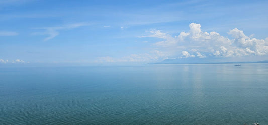 10 Island Resort Condominium For Sale