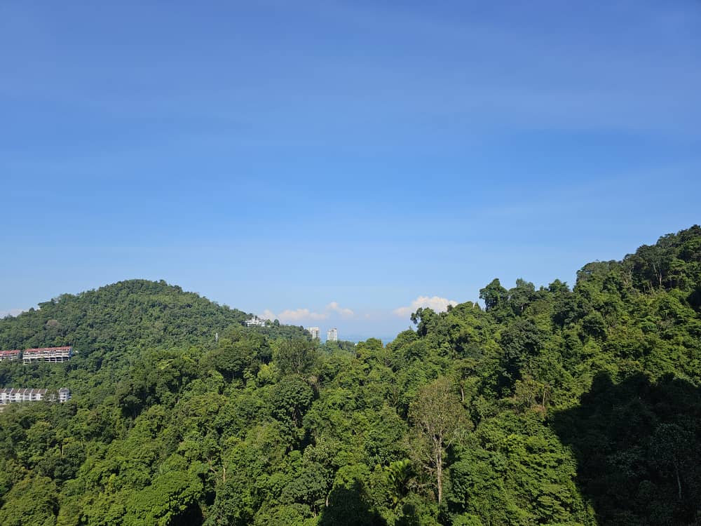 Alila2 Condominium For Sale 