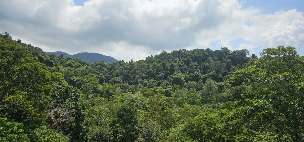 Batu Ferringhi Hilltop Bungalow For Sale | 7600sqft | 4+1R6B | RM924.82/sqft