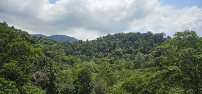 Batu Ferringhi Hilltop Bungalow For Sale | 7600sqft | 4+1R6B | RM924.82/sqft