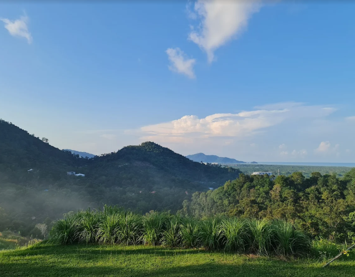 Balik Pulau Durian Farm with Resort For Sale | 7 acres | RM59.03psf
