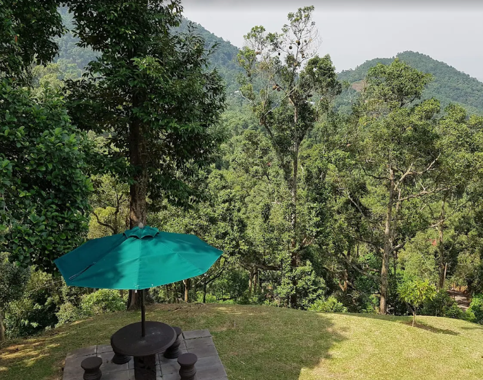 Balik Pulau Durian Farm with Resort For Sale | 7 acres | RM59.03psf