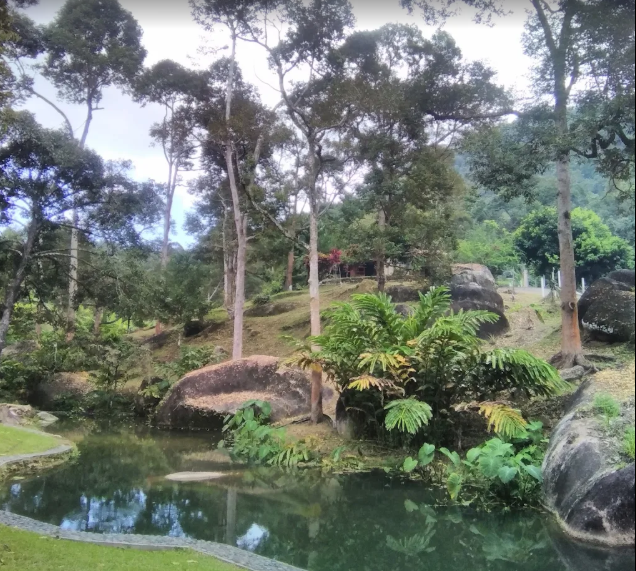 Balik Pulau Durian Farm with Resort For Sale | 7 acres | RM59.03psf