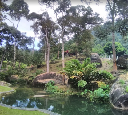 Balik Pulau Durian Farm with Resort For Sale | 7 acres | RM59.03psf