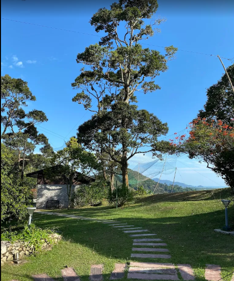 Balik Pulau Durian Farm with Resort For Sale | 7 acres | RM59.03psf