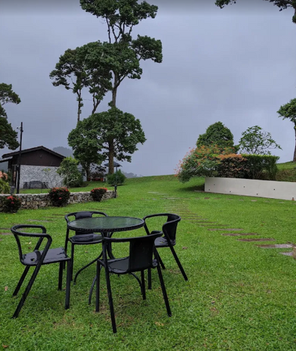 Balik Pulau Durian Farm with Resort For Sale | 7 acres | RM59.03psf
