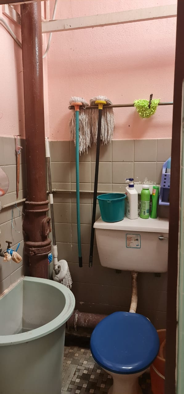 Greenlane Landed House For Sale