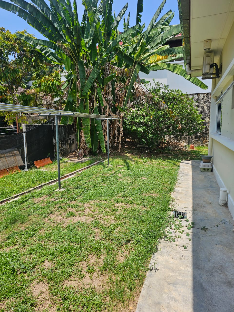 Tanjung Bungah Bungalow for Sale