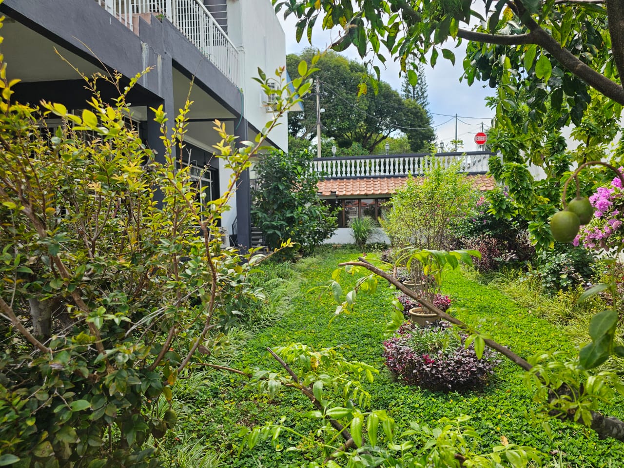 Bungalow at Tanjung Bungah For Sale