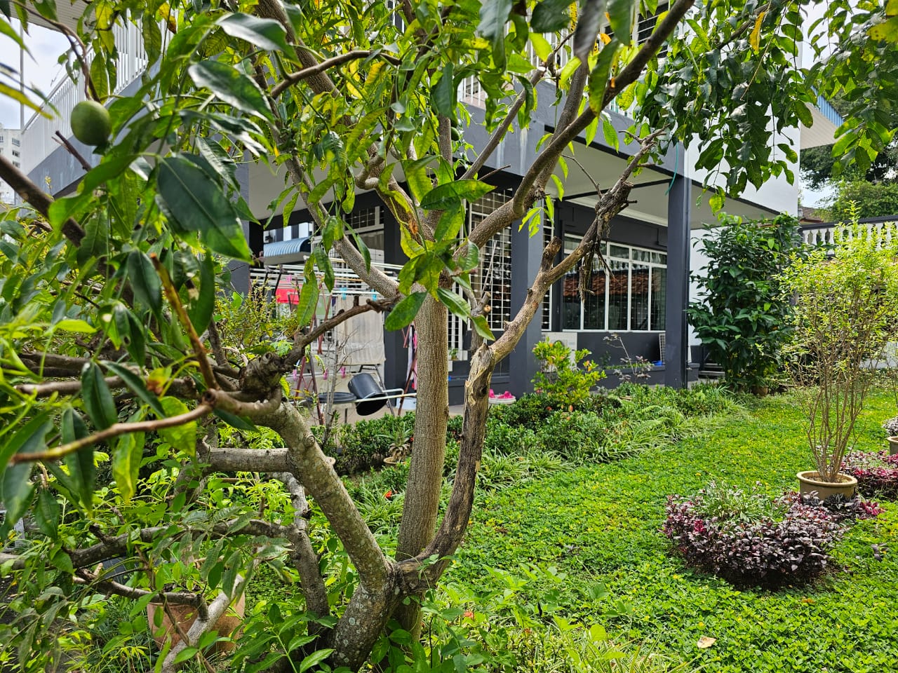 Bungalow at Tanjung Bungah For Sale