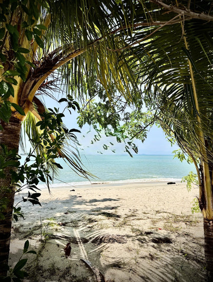 Sri Golden Bay Condominium For Sale | 2875sqft | 4+1R3+2B | RM932.17psf