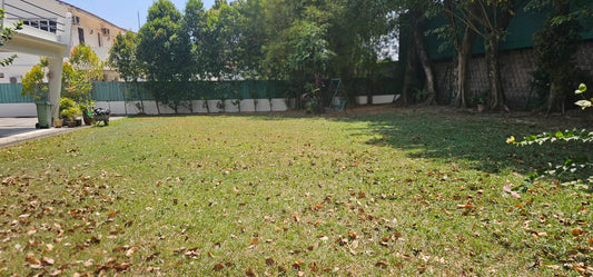 Tanjung Bungah Bungalow For Sale
