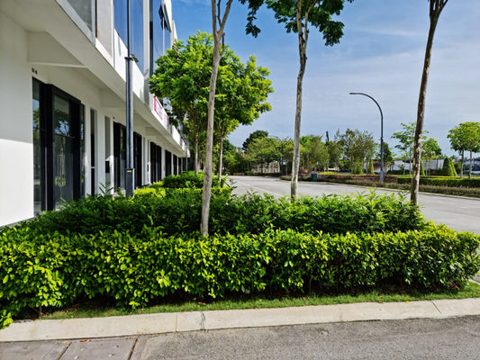 Vervea @ Aspen Vision City Shop Office For Sale